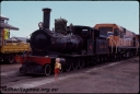 T07854.jpg