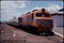 T07856.jpg