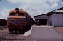 T07857.jpg