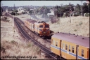 T07860.jpg