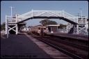 T07861.jpg