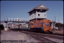 T07867.jpg