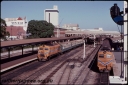 T07870.jpg