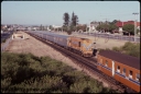 T07873.jpg