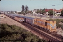 T07874.jpg