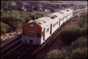 T07877.jpg