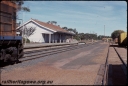 T07904.jpg
