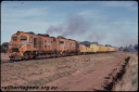 T07905.jpg