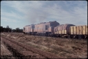 T07906.jpg
