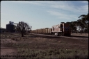 T07907.jpg