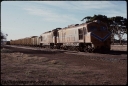 T07909.jpg