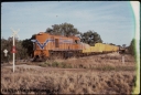 T07910.jpg