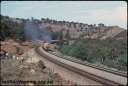 T07915.jpg