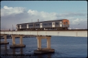 T07919.jpg