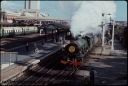 T07925.jpg