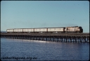T07937.jpg