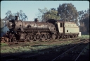 T07939.jpg
