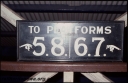 T07953.jpg