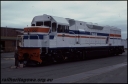 T07956.jpg