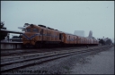 T07959.jpg