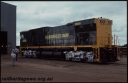 T07965.jpg