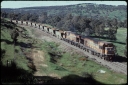 T07967.jpg