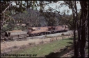 T07970.jpg