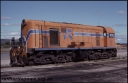 T07974.jpg