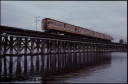 T07975.jpg