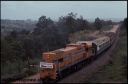 T07976.jpg
