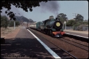 T07977.jpg