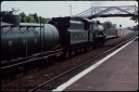 T07979.jpg