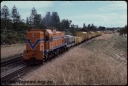 T07980.jpg