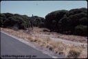 T08021.jpg