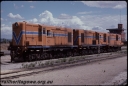 T08024.jpg
