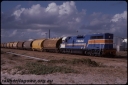 T08031.jpg