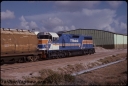T08032.jpg