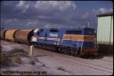 T08033.jpg