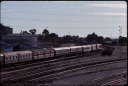 T08036.jpg