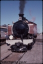 T08063.jpg