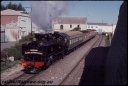 T08066.jpg