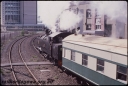T08067.jpg
