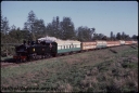 T08068.jpg