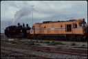 T08082.jpg
