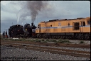 T08083.jpg