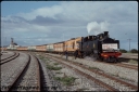 T08086.jpg