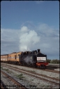 T08087.jpg