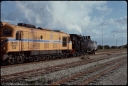 T08088.jpg