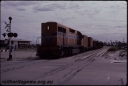 T08096.jpg