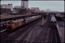 T08099.jpg